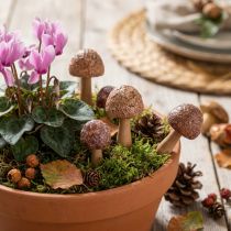 Article Tuteurs à fleurs, motif champignon, en bois, marron, Ø 2,5 cm, lot de 8
