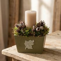 Article Jardinière en bois, style shabby chic, verte, 11 × 14,5 × 14 cm