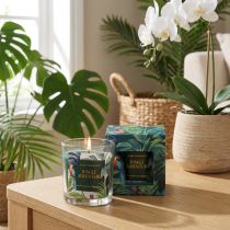 Article Bougie parfumée dans un récipient en verre Bougie Concombre-Eucalyptus Vert Ø7cm