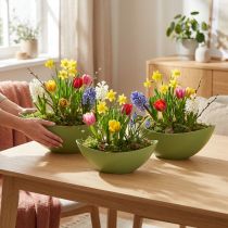 Article Bol décoratif en plastique pour bateau à plantes vert 28×9×9cm 3pcs