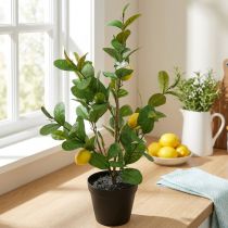Article Citronnier artificiel en pot, 65 cm, plante décorative, plante artificielle