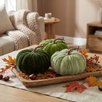 Article Citrouille décorative vert automne vert foncé vert clair Ø18cm 3 pcs