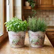 Article Pot à herbes, pot de fleurs en plastique Fresh Garden H13,5 cm, 2 pièces