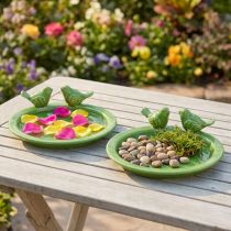 Article Assiette décorative bain d'oiseaux décoration de table céramique verte Ø20,5cm 2pcs