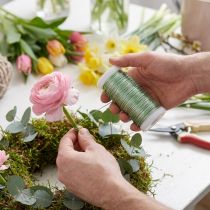 Article Fil émaillé déco vert menthe Ø0.50mm 50m 100g
