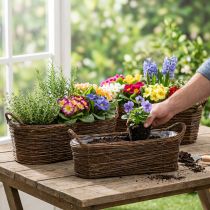 Article Panier à plantes avec poignées, ovale marron 57/50/42 cm, lot de 3