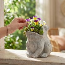 Article Pot de fleurs décoratif grenouille béton gris H18,5cm