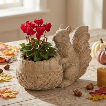 Article Jardinière en pierre reconstituée avec décor d'écureuil 26×14×19cm