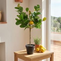 Article Citronnier artificiel en pot, style méditerranéen, plante artificielle facile d'entretien, agrume décoratif, 57 cm de haut