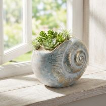 Article Pot décoratif en forme d'escargot pour une décoration murale marine et naturelle, gris, 21 cm