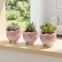 Article Mini jardinière en céramique, pot de fleurs assorti Ø8cm H7cm 3pcs