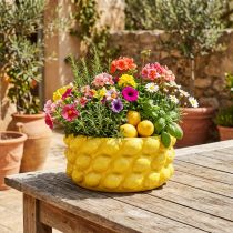 Article Jardinière citron bol en céramique jaune Ø26cm H12cm