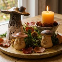 Article Coffret déco automne hérisson champignons dragon – acheter coffret déco pas cher