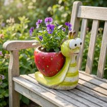 Article Pot de fleurs décoratif escargot fraise céramique vert rouge 15,5 cm