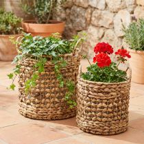 Article Ensemble de 2 paniers à plantes en jonc de mer et jacinthe d'eau Ø31/26 cm - panier décoratif, panier à fleurs, rangement, écologique, naturel