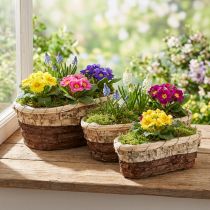 Article Bac à plantes, bois naturel, 3 couleurs, L29,5/25/23cm, lot de 3