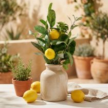 Article Branches décoratives, citrons et olives artificiels, vase méditerranéen de 50 cm, décoration estivale