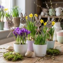 Article Bouchon décoratif en bois lapin avec lunettes 4×7,5cm 12 pcs