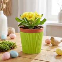 Article Manchettes plissées pour pots de fleurs vert clair 14,5cm 100 pièces