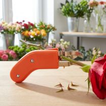 Article Éliminateur d'épines de rosiers en acier inoxydable sans épines 80ES orange pour fleuristes