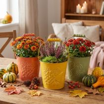 Article Seau déco de fruits lavés jaune, orange, vert Ø15cm H14cm lot de 3