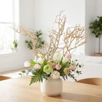 Article Arbre Sec 500g blanchi