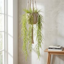 Article Succulente suspendue verte 145cm