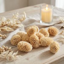 Article Cônes de Sabulosum blanchis 500g