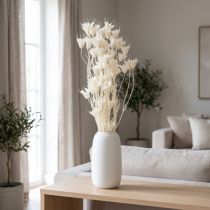Article Bouquet de fleurs de nigelle séchées, élément décoratif naturel et élégant pour intérieurs raffinés, 70 cm, 50 g