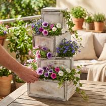 Article Jardinière en bois tiroir aspect antique crème 24/20/16/12cm lot de 4