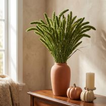 Article Fleurs séchées, Setaria Pumila, millet à soies vert 75 cm 200 g
