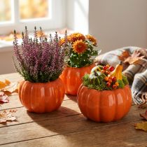 Article Pot de fleurs en céramique citrouille orange Ø9,5 cm H6,5 cm 4 pièces