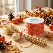 Article Cordon papier enroulé Ø2mm 100m Orange