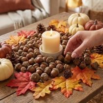 Article Glands pour décoration, décoration d'automne, fruits d'automne naturels Ø1,5 – 2,5cm L1,5 – 3cm 300g