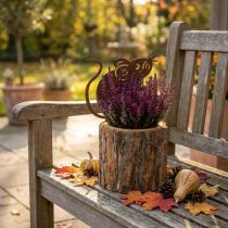 Article Pot de fleurs en bois, jardinière, écorce et souris, acier patiné, H24cm
