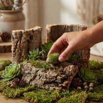 Article Ensemble de 5 pièces d'écorce de liège naturel pour loisirs créatifs et décoration, 30 x 20 cm