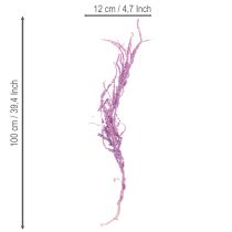 Article Fleurs séchées Amarante teintée pour décoration intérieure moderne, 100 cm, lot de 5