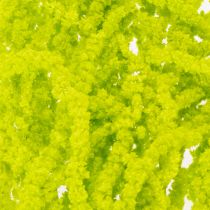 Article Fleurs séchées d'amarante teintées pour décoration intérieure raffinée et touches uniques, 100cm, lot de 5