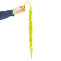 Article Fleurs séchées de queue de renard, teintées, pour une décoration intérieure raffinée et des touches uniques, 100 cm, lot de 5