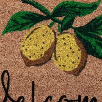 Article Paillasson Citron Bienvenue Paillasson Noix de Coco 40×60cm