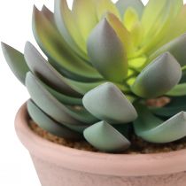 Article Plante succulente en pot Echeveria artificielle vert vintage Ø15cm H16cm