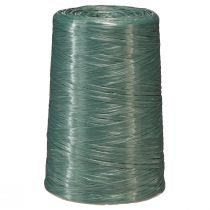 Article Raphia de jardinier raphia vert fleuriste 3500m 5pcs