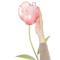 Article Tulipe décorative à tuteurer pour massifs et bordures, 94 cm