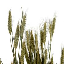 Article Décoration de grains d&#39;orge décoration sèche naturelle bouquet de 80 cm 1 pièce