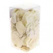 Article Décoration de feuilles séchées Moneta crème florale sèche 100g