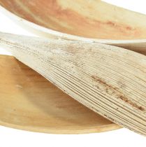 Article Coquilles de noix de coco, feuilles de noix de coco blanchies, 22-42 cm, 25 pièces