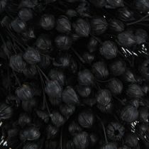 Article Couronne de lin séchée fleurs séchées noir Ø25cm
