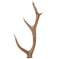 Article Bois de cerf artificiels décoratifs, décoration rustique pour chalet, 50 cm