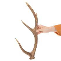 Article Bois de cerf artificiels décoratifs, décoration rustique pour chalet, 50 cm