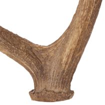 Article Bois de cerf artificiels décoratifs, décoration rustique pour chalet, 50 cm